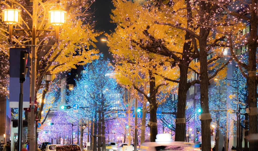 Winter hotels near Osaka Station in the Umeda area with city lights